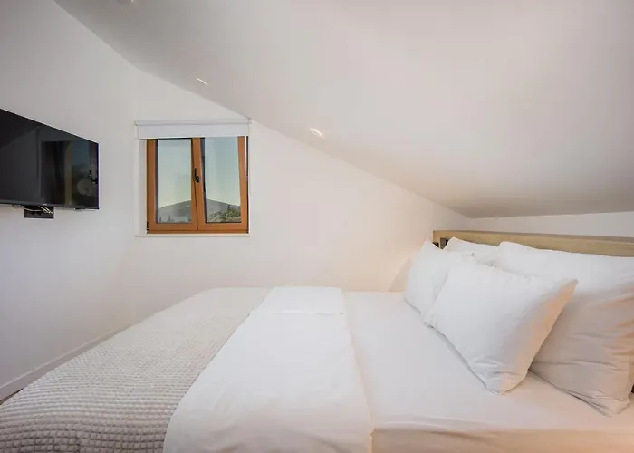Apartment Oleander Urban Suites, High-speed Internet, At 250, Pet Friendly